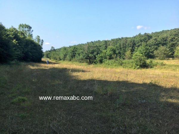 ŞİLE 3. KÖPRÜ YOLU VE MERKEZE YAKIN FIRSAT